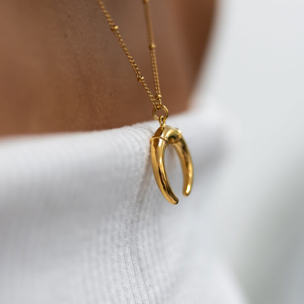 Vintage horn pendant necklace